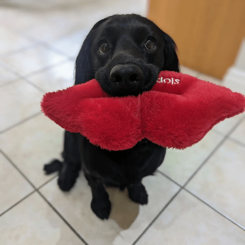 WufWuf Sloppy Kisses Squeaky Plush Toy