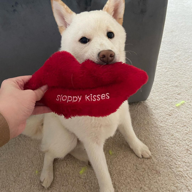 WufWuf Sloppy Kisses Squeaky Plush Toy