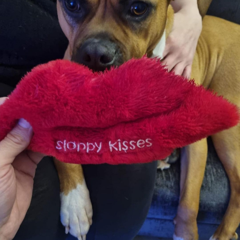 WufWuf Sloppy Kisses Squeaky Plush Toy