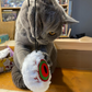 MyMeow Eye Am Scared Cat Finger Teaser Toy