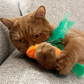 MyMeow - Pumpkin Refillable Cat Toy