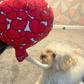 WufWuf Love is in the Air, Balloon Shaped Plush, Crinkle, Rope Dog Toy