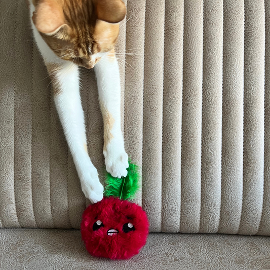 MyMeow - Krazy Refillable Cat Toy Set with 10 North American Natural Catnip Refill Bags