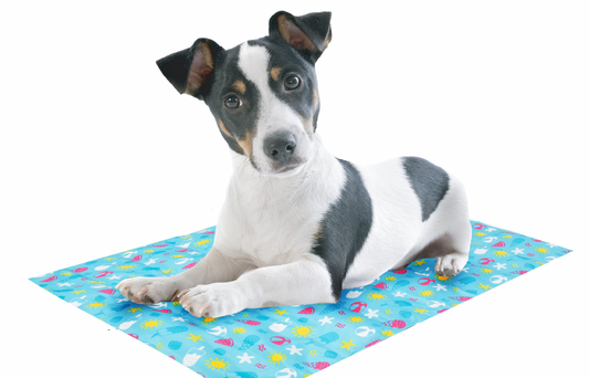 Smart Choice - Pet Cooling Mat / Large