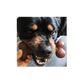 Rosewood - Tough Toy Nylon Dog Chew / Large