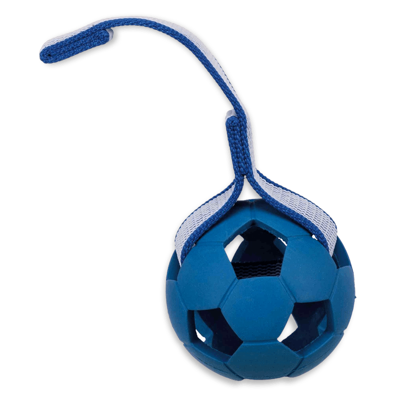 trixie sporting ball on strap blue