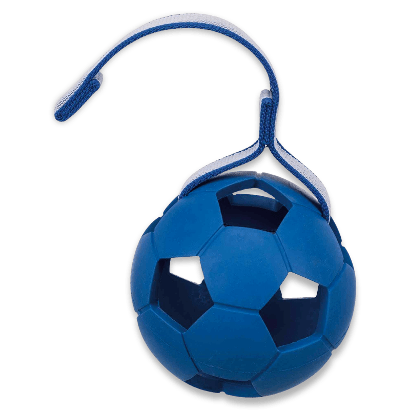 trixie sporting ball on strap blue