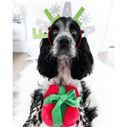 WufWuf - Gift Box Plush Toy - Small