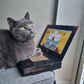 MyMeow - Laptop Scratcher