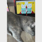 MyMeow - Laptop Scratcher