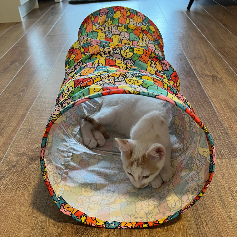 Fabric top cat tunnel