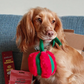 WufWuf - Gift Box Plush Toy - Large