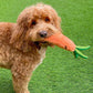 WufWuf - Crazy Carrot Plush Dog Toy - Wufwuf Shop