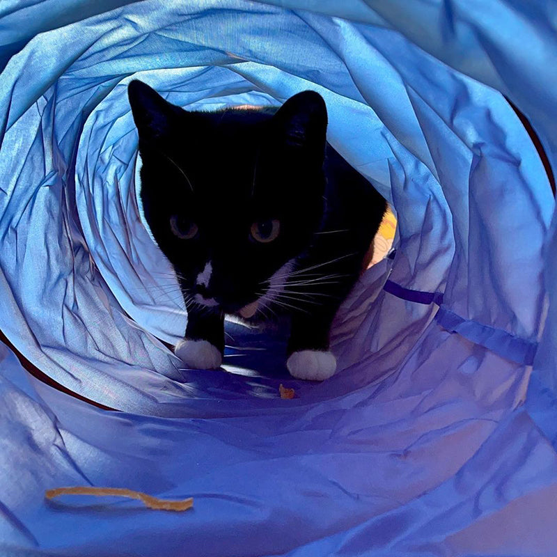 MyMeow - Cat Tunnel - Blue