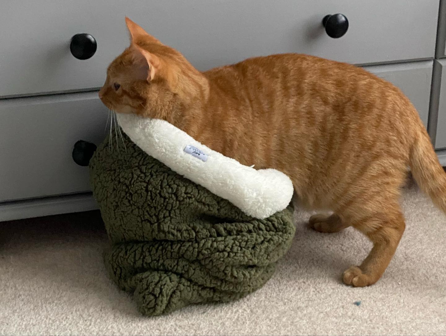MyMeow - Kitty Sack