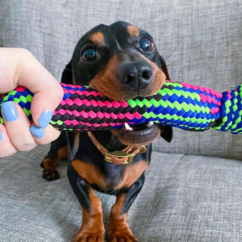 Smart Choice - Strong Rubber Rope Toy - Type 1